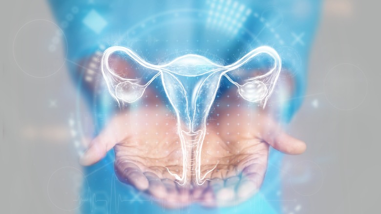 best gynecologist in lebanon