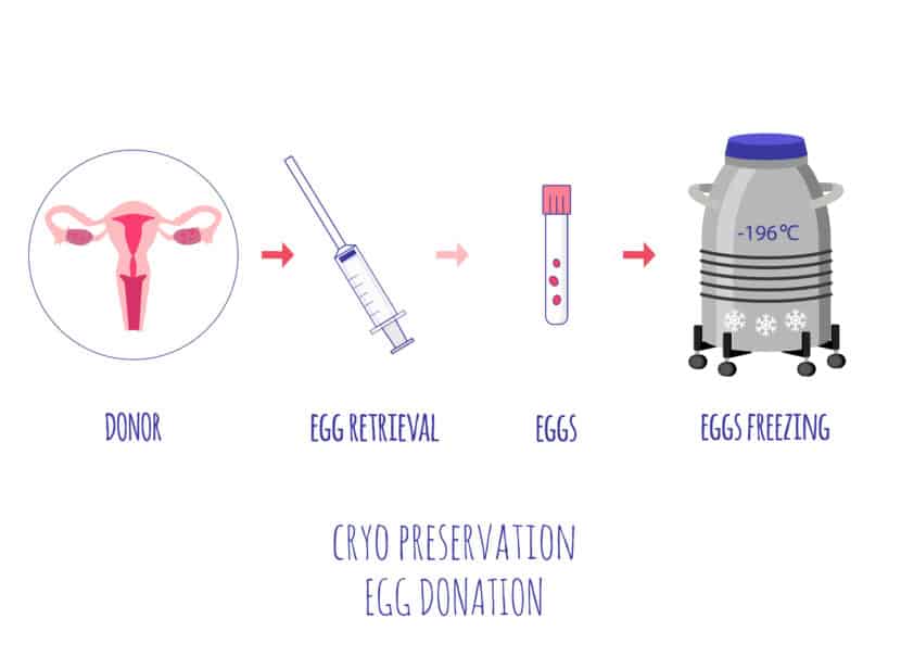 egg freezing lebanon