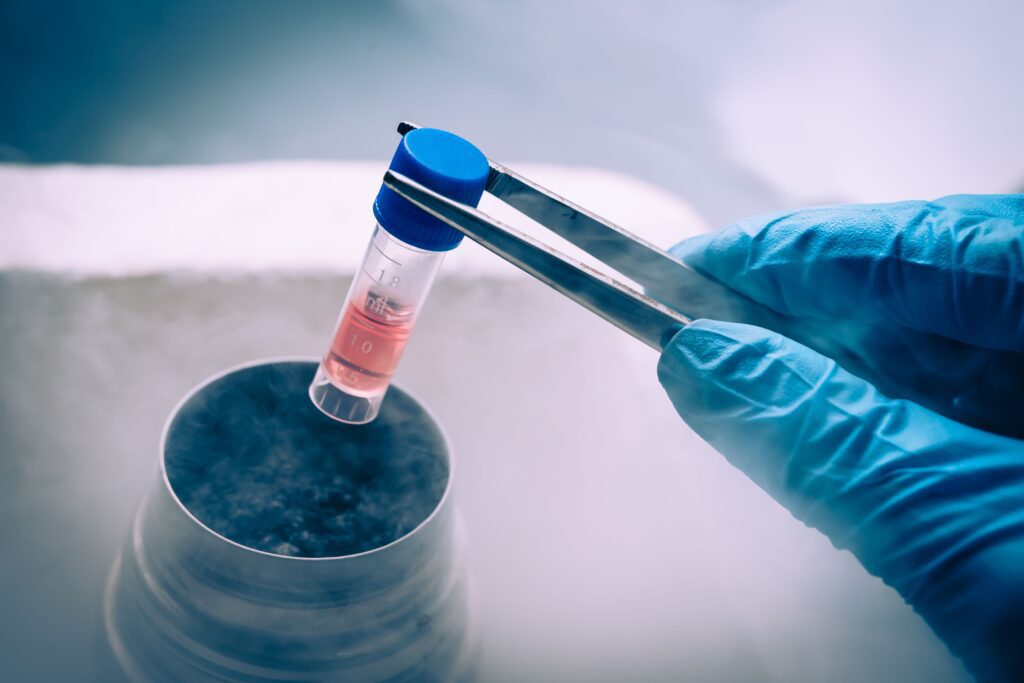 egg freezing lebanon