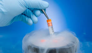 infertility specialist