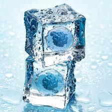 egg freezing lebanon