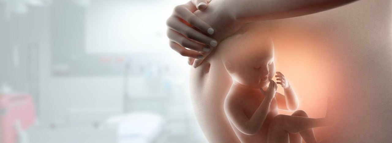 Fetal Monitoring Lebanon